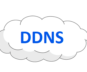 Dynamic DNS (DDNS) Subscription Renewal (1 Year)